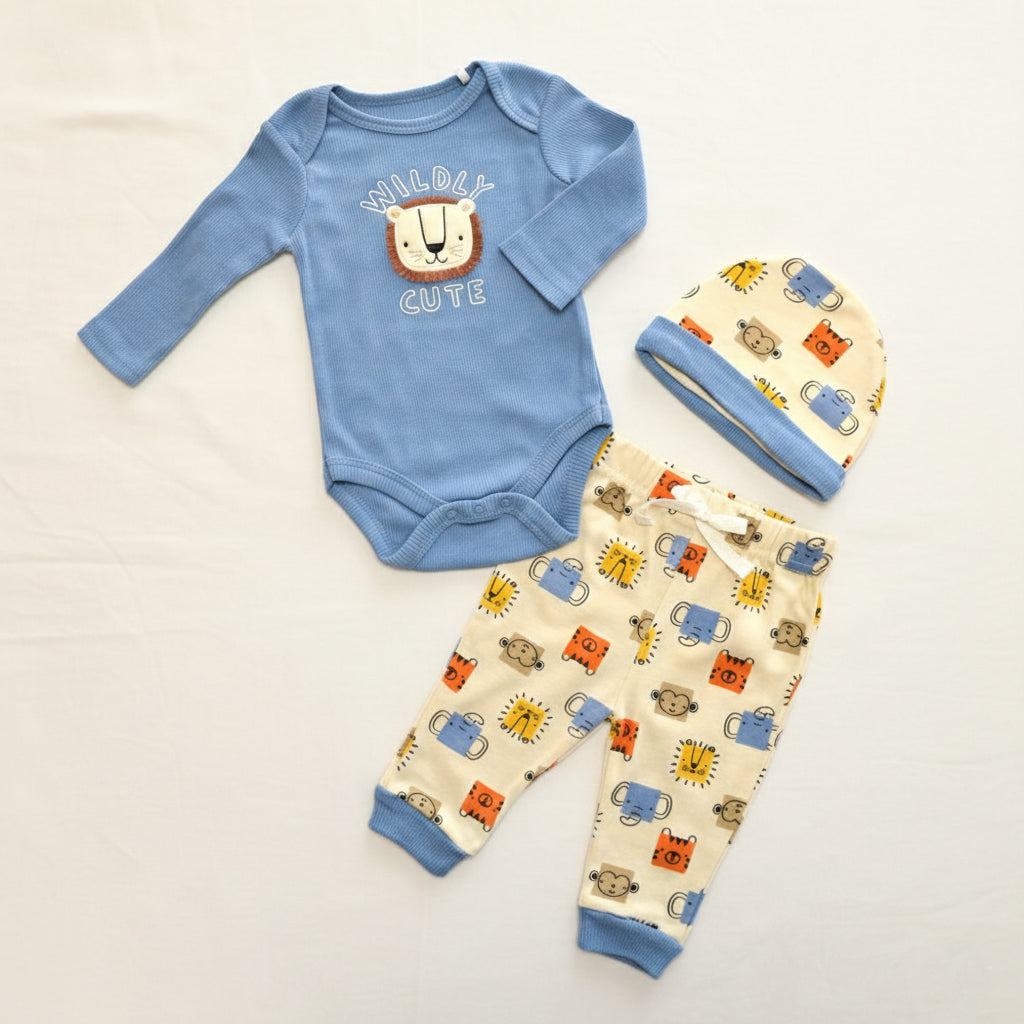 Baby 3pcs Chenille Applique Bodysuit Hat Pants Set