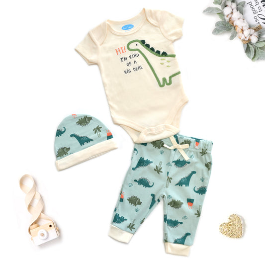 Baby 3pcs Chenille Applique Bodysuit Hat Pants Set